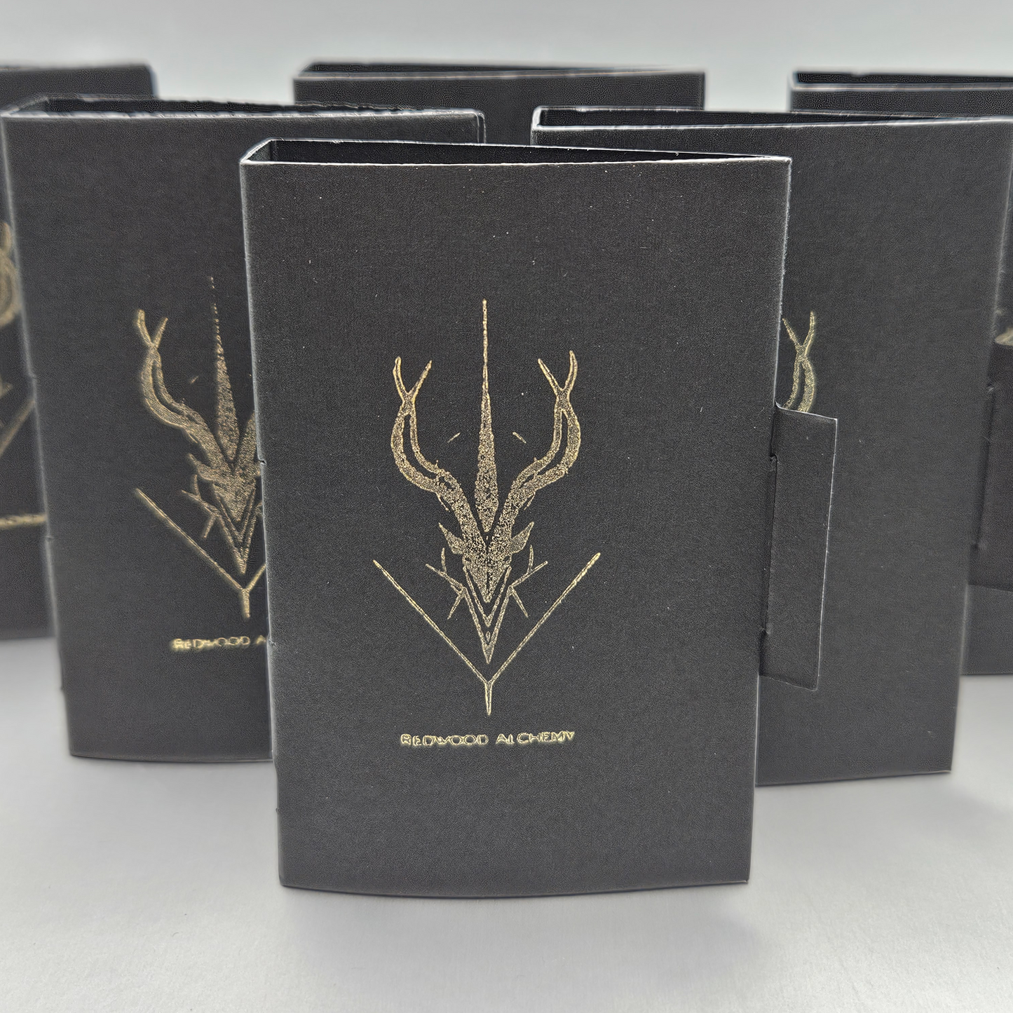 Legendary Survivor Discovery Set