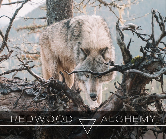 Timberwolf