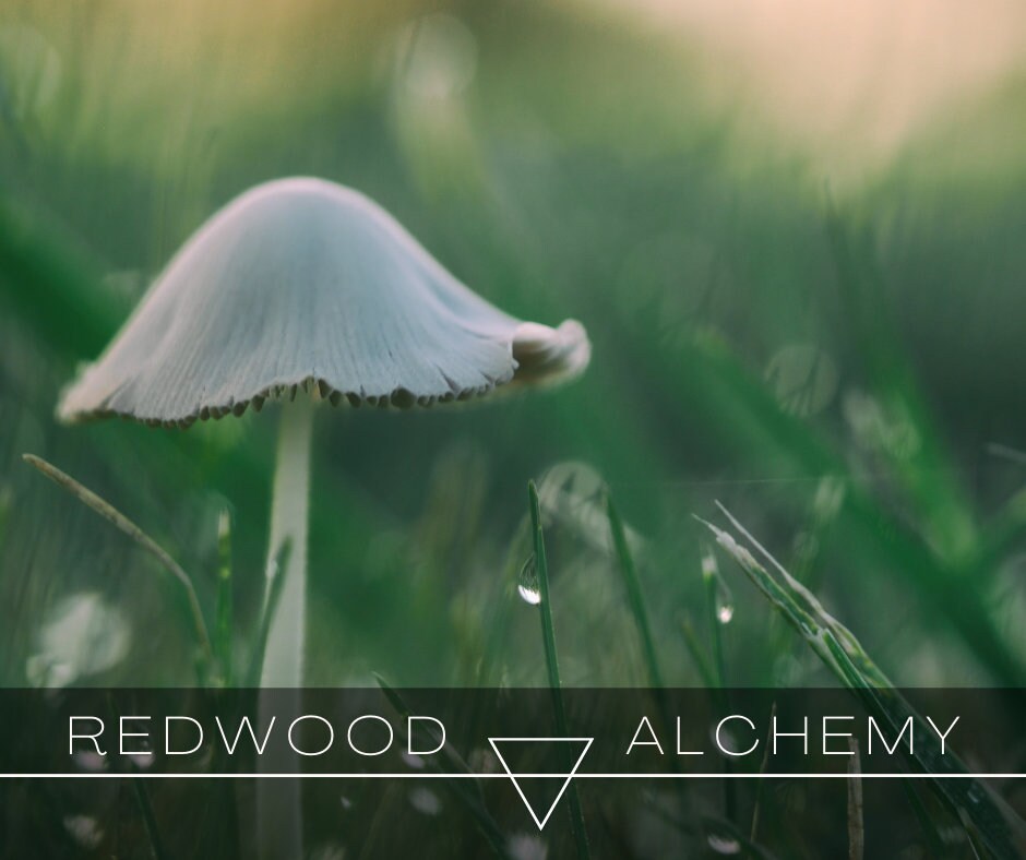 Mood: Strange & Unusual