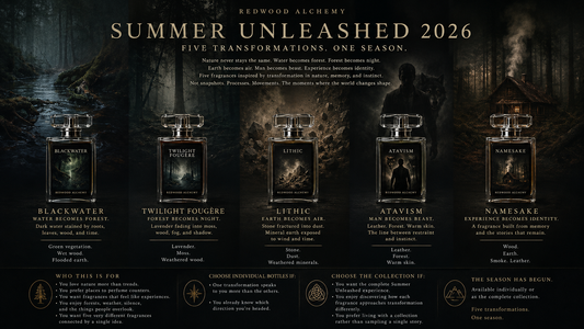 Summer Unleashed: Transformations Collection