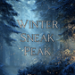 Winter Sneak Peek Sample