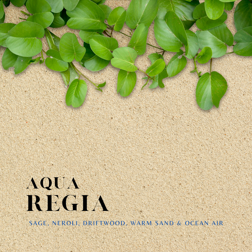 Aqua Regia Perfume Redwood Alchemy