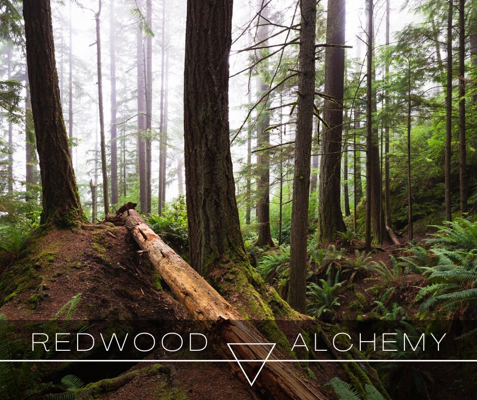 Redwood Alchemy Sample