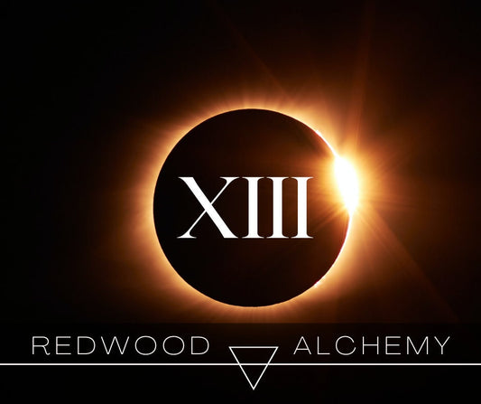 XIII Sample