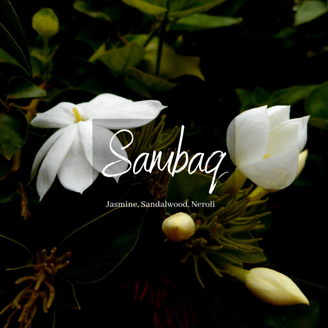 Sambaq Sample