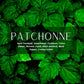 Patchonne